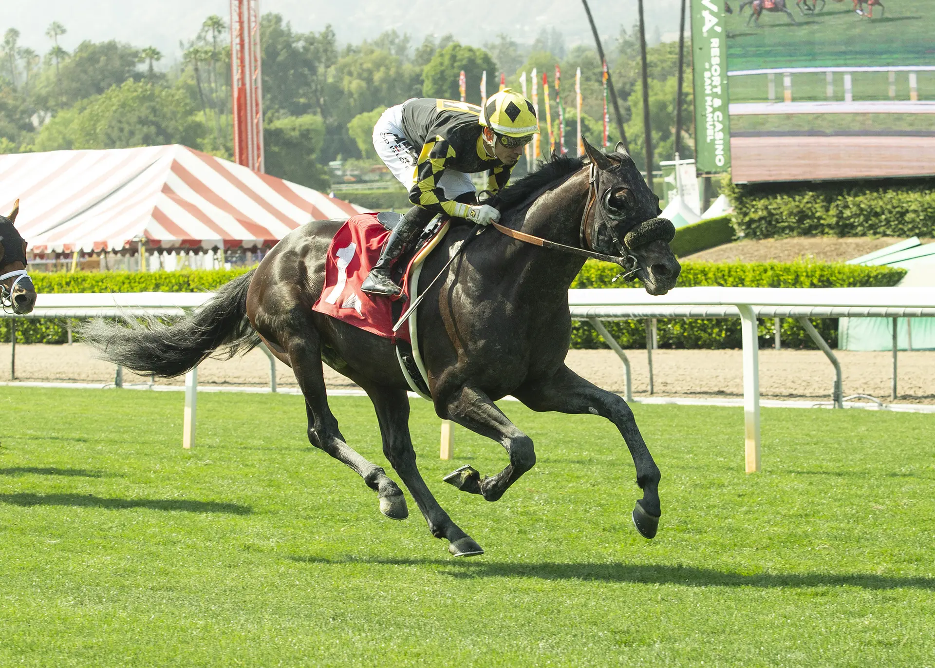 Golden Club stands out in first leg of all-turf pick three