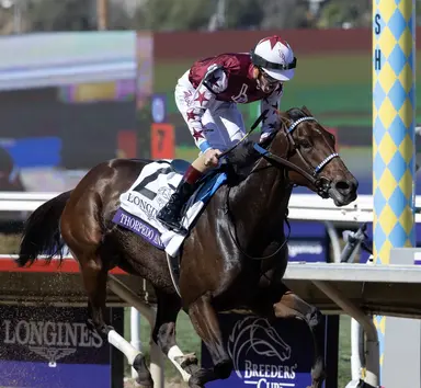 Medaglia d'Oro's influence felt with BC winners Thorpedo Anna, Soul of an Angel