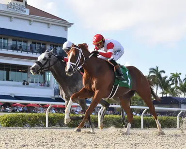 Longbranch Lou looks to continue starter success