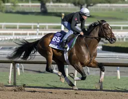 Yearling season kicks off with Fasig-Tipton July