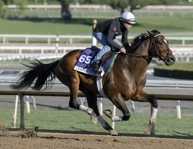 Yearling season kicks off with Fasig-Tipton July