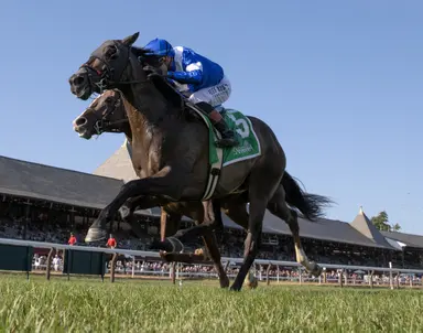 Prat's decision could sway wagering as Chummers, Jaxer lock horns in Cab Calloway