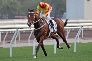 Super Sunny Sing hitting his stride for Hong Kong Derby