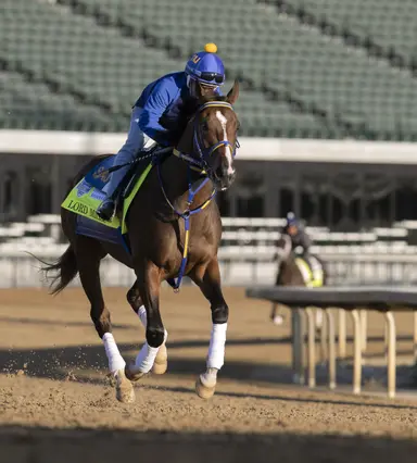 Lord Miles breezes, likely for Belmont Stakes