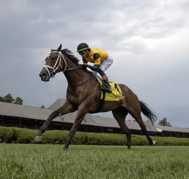 She's Country gets another soft spot for return; $154K pick six carryover