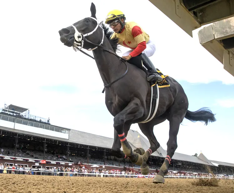 Harper's Corner wins Schuylerville at SAR July 3 2026