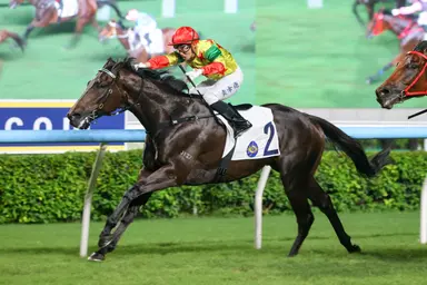 Soleil Fighter takes Group plunge in Celebration Cup