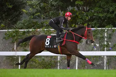 Japan: Romantic Warrior tries one mile in Yasuda Kinen