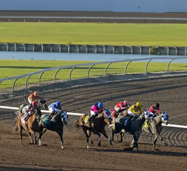 Call Me Candela going for rare double in Ed Burke Futurity