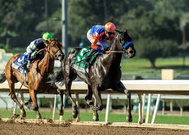 Splendora surges late in inaugural D. Wayne Lukas Stakes