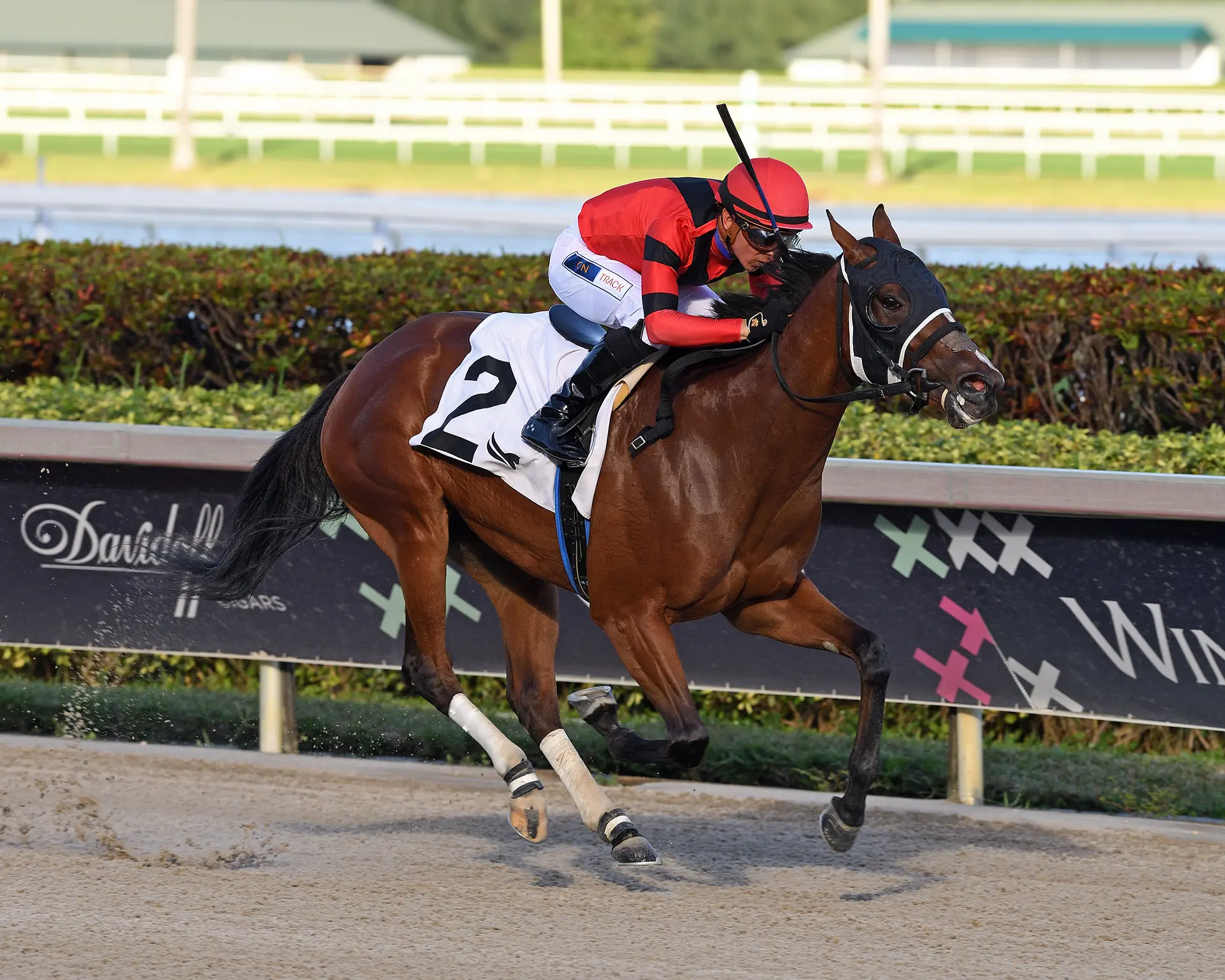 'Fair Hill Five' trainer Quiroz issued provisional suspension