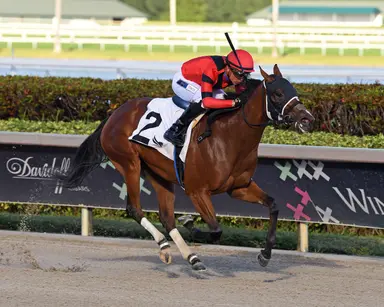 'Fair Hill Five' trainer Quiroz issued provisional suspension