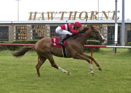 Hawthorne, Chicago's last racetrack, sold to 'non-racing entity'