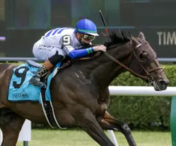 Three-way rematch in Saratoga Derby