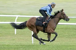 Ward has no hesitation entering back pricey filly after scratch