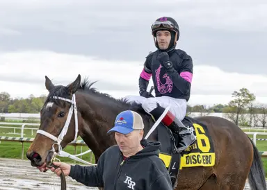 Undefeated Shane's Wonder makes stakes debut in Wait For It