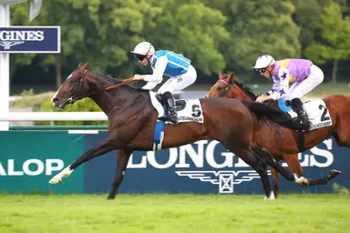 Arc third Sosie looks to be a trump card for legendary trainer Andre Fabre in LONGINES Hong Kong Vase