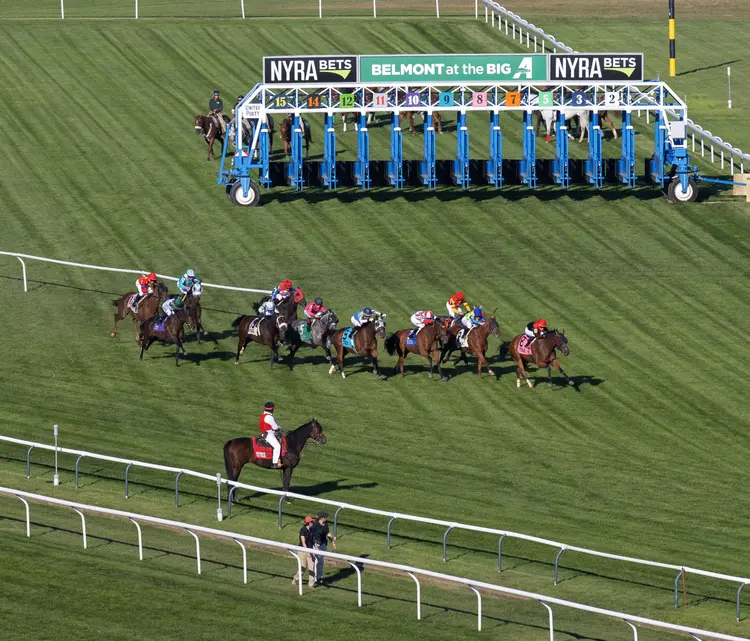 Aqueduct.Turf scenic.Start_.10-5-24.BL_.jpg