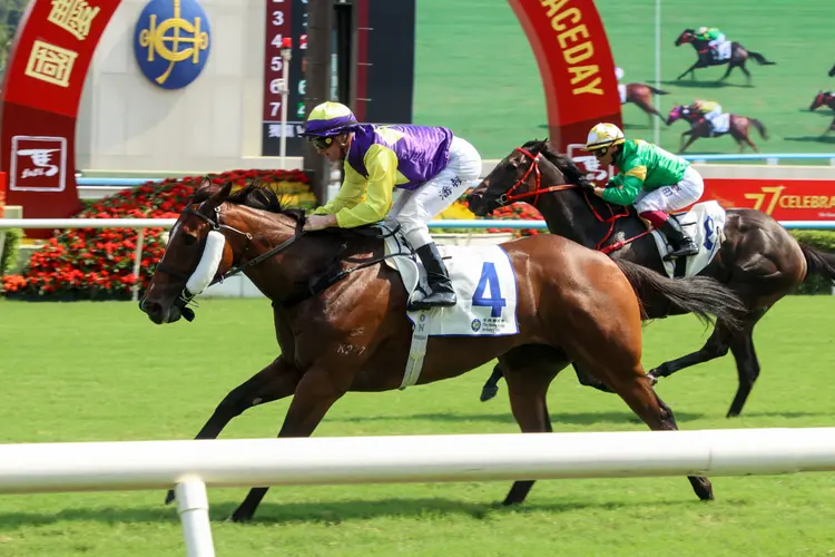 Colourful King / Sha Tin
