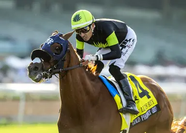 Gold Phoenix prevails in San Luis Rey Stakes