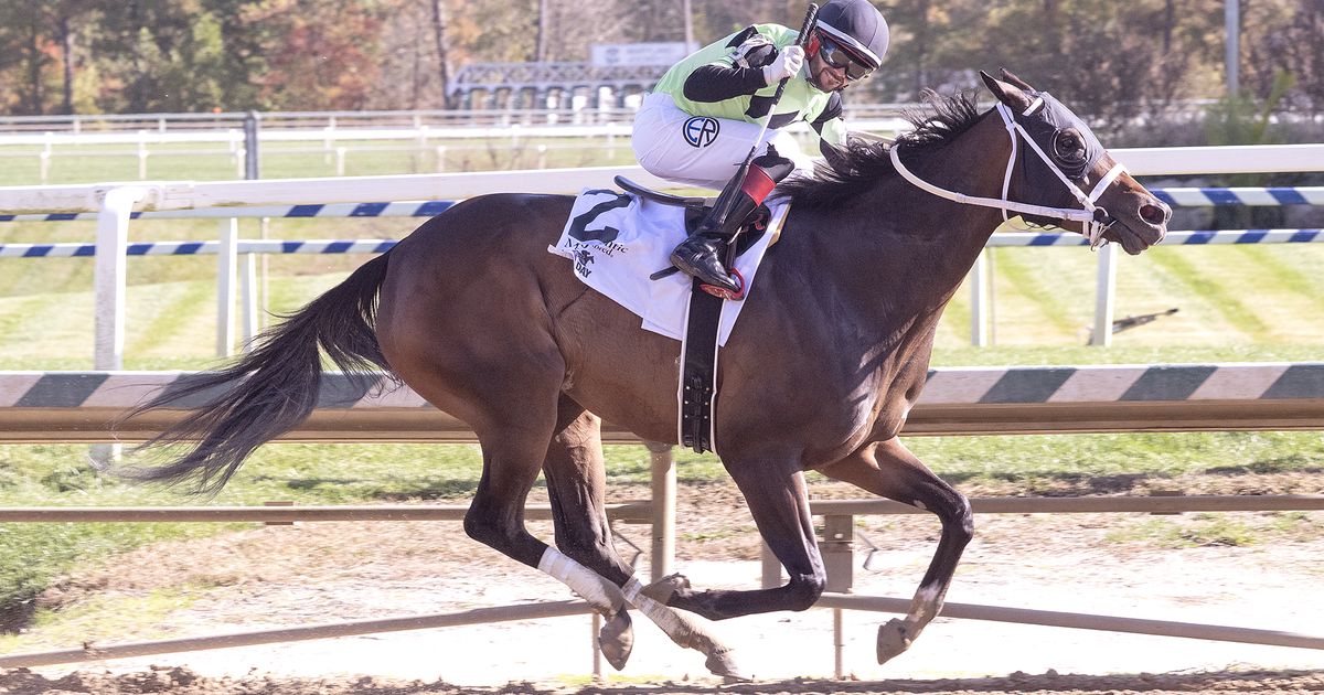 Takethemoneyhoney ends layoff with Maryland Million Distaff triumph