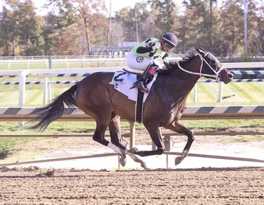 Takethemoneyhoney ends layoff with Maryland Million Distaff triumph