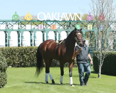 Fasig-Tipton digital continues to thrive into July sale