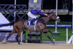 Dubai: Dark Saffron upsets Bentornato to win another Golden Shaheen