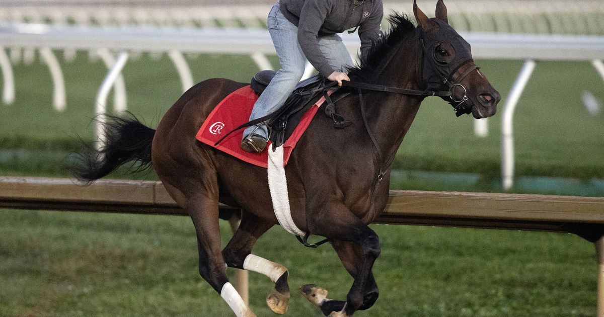 Breeders' Cup Distaff: Nitrogen heads compact cast of nine