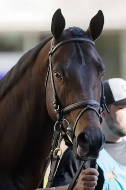 Englishman returns to track after missing work