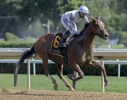 Claiming game represented with 11 starter races worth $1 million in purses