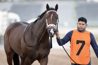Pletcher gives Nearly, Renegade separate half-mile works