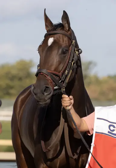 Abreu eyeing New York returns for Scottish Lassie, Jody's Pride