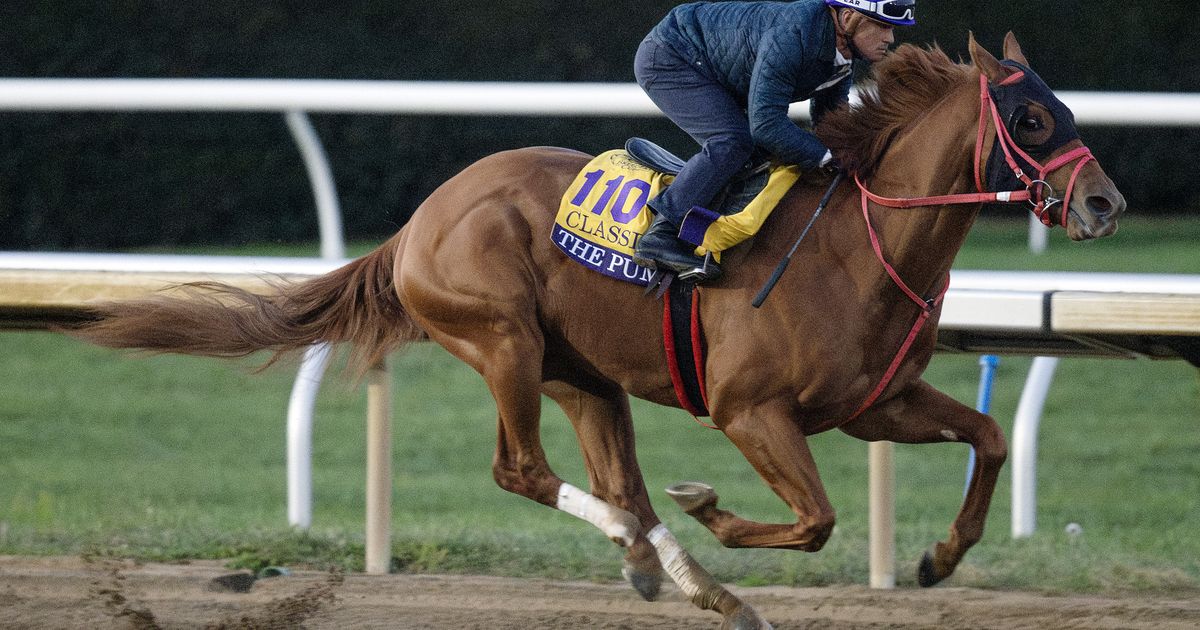 Breeders' Cup Clocker: The Puma gets top marks on action-packed morning