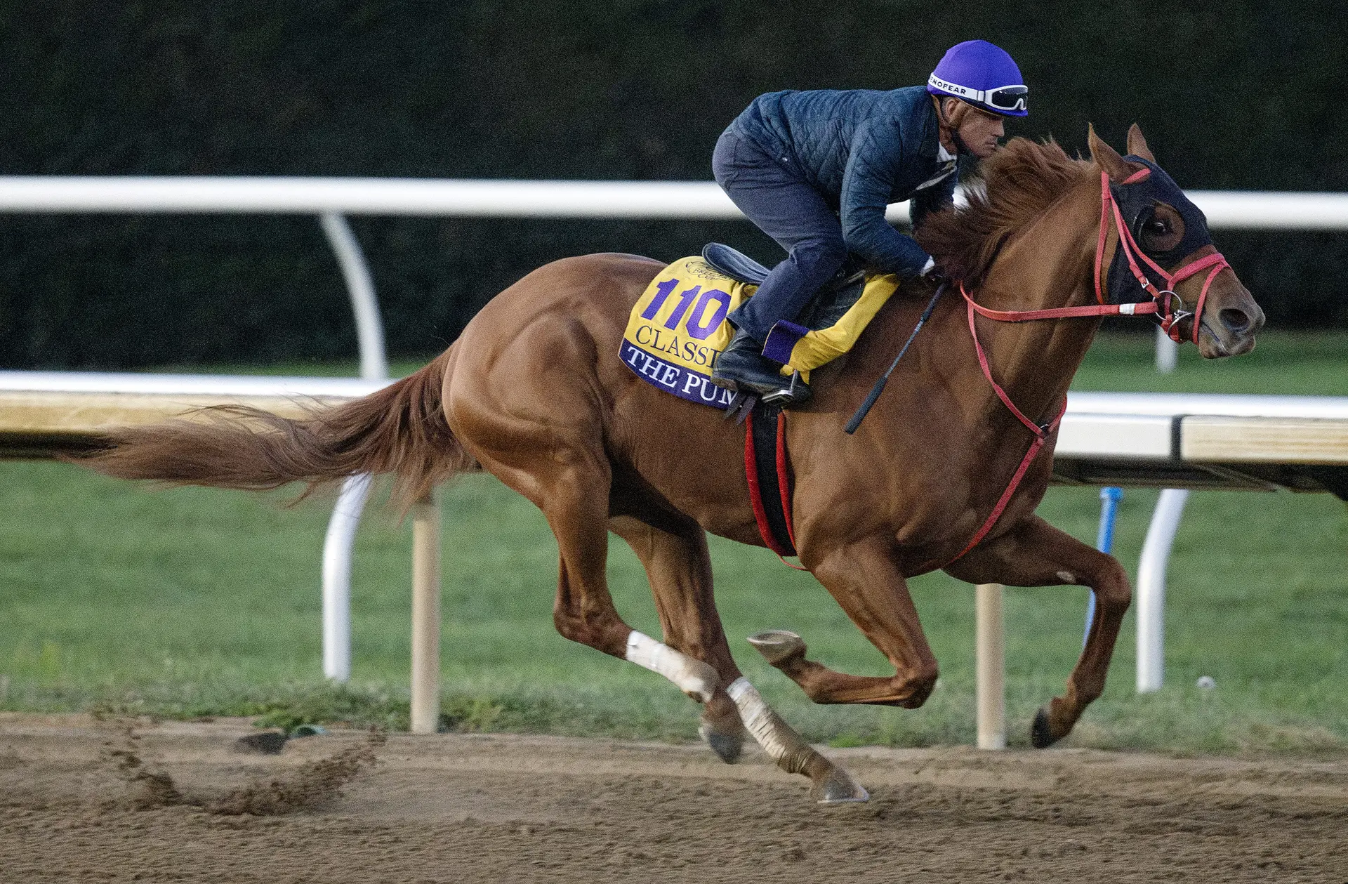 Breeders' Cup Clocker: The Puma gets top marks on action-packed morning