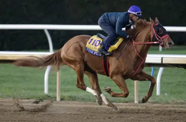 Breeders' Cup Clocker: The Puma gets top marks on action-packed morning