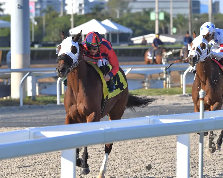Private Thoughts wins at GP Dec 27 2025