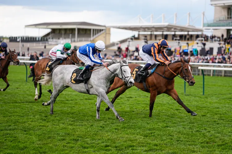 Azleet01.4.17-26.The Jockey Club-Hoycubred Photography.jpg