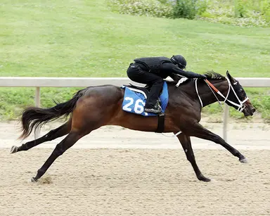 Breeze-show times don't tell the entire story
