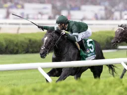 Deterministic points to Woodbine Mile, with eye on BC Mile