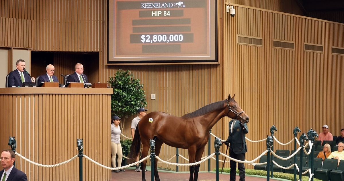 Keeneland September yearling sale opens with $71,770,000 in total sales