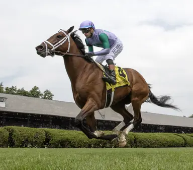 Pletcher holds all the cards in With Anticipation