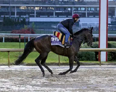 Sergei Prokofiev returns to Canada as stallion