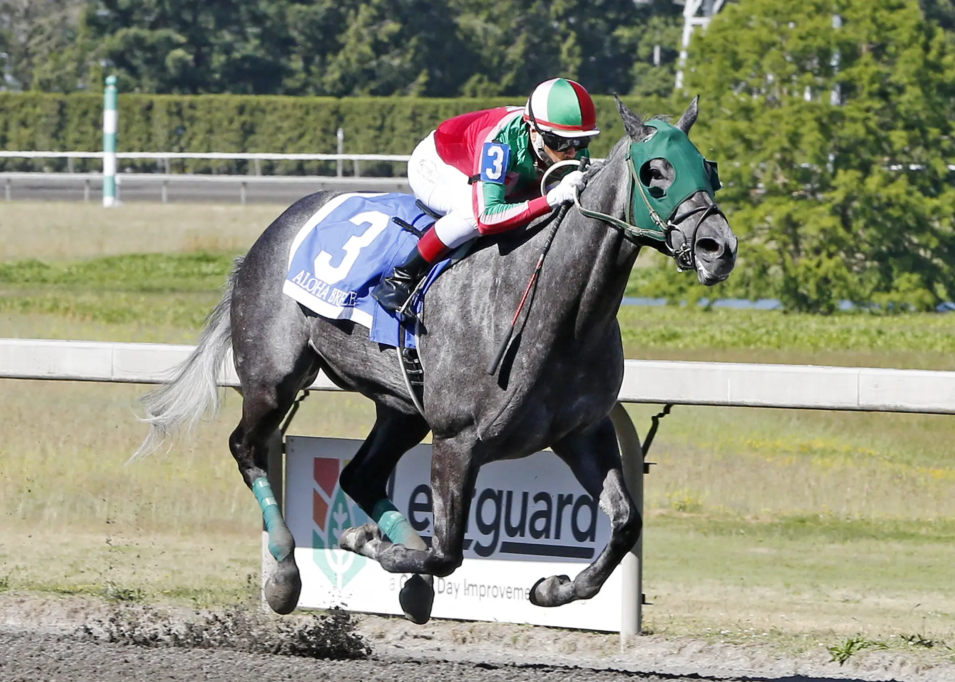Aloha Breeze the one to catch in Emerald Distaff