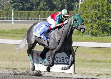 Aloha Breeze the one to catch in Emerald Distaff