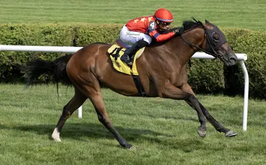 Twenty Six Black finds course, pace to his liking in Harvey Pack Stakes