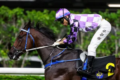 Caspar Fownes and Mark Newnham chase early edge at Happy Valley