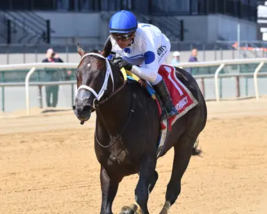 Solitude Dude surges past Time to Roll in Bay Shore Stakes