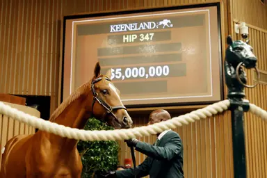Keeneland September yearling sale concludes with record gross, average figures