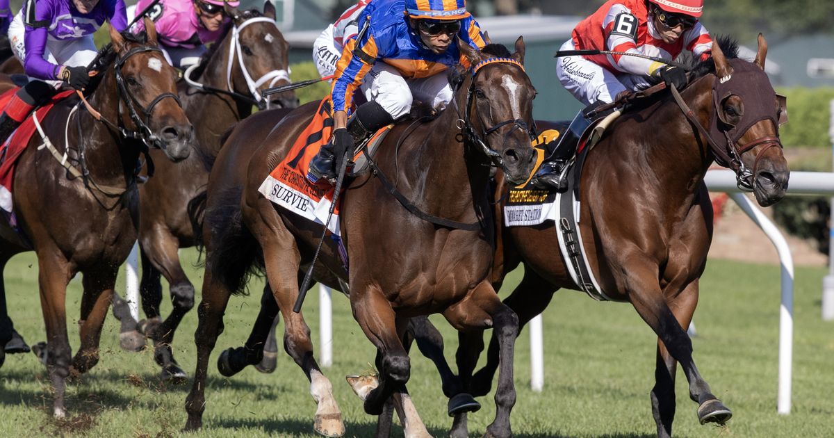 Survie, after Christophe Clement win, may not start again until